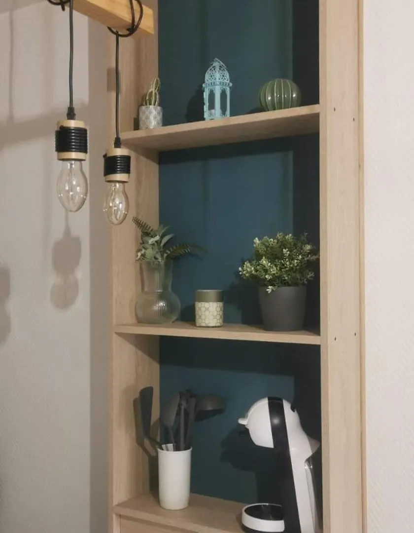 Ferienwohnung T1 With Loggiajapanese Garden-Tbs Toulouse Frankreich