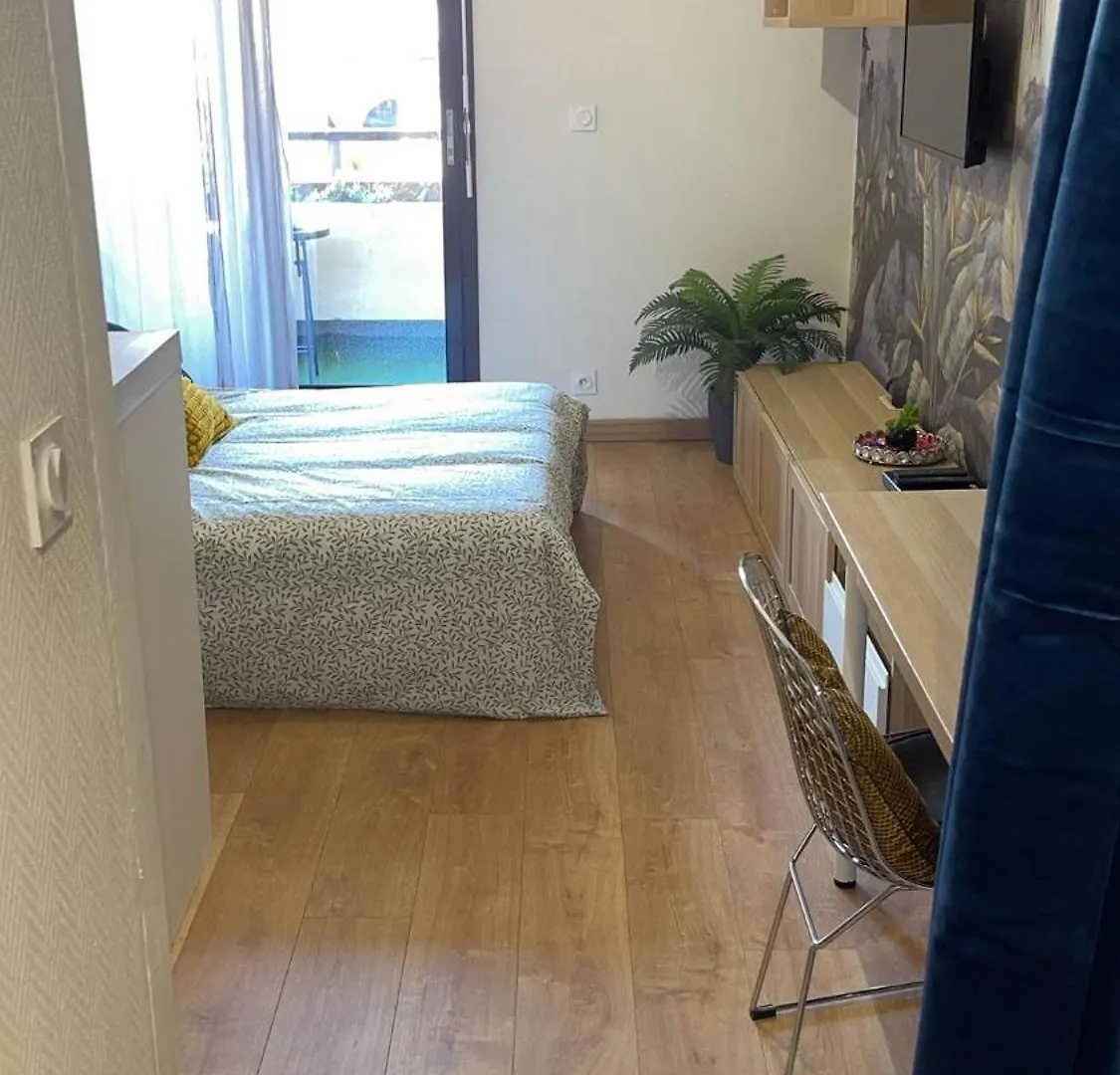 Ferienwohnung T1 With Loggiajapanese Garden-Tbs Toulouse Apartment